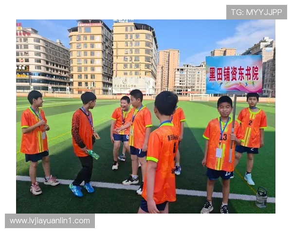 聚焦绿茵英雄全面探寻足球运动员成长历程与荣耀背后的动人故事