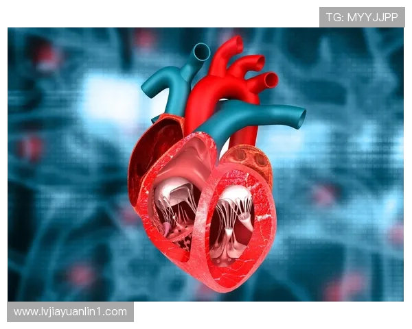 以运动为核心探索健康生活与身心平衡的全新未来路径