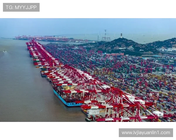 以上海海港为核心推动全球航运枢纽建设与区域经济合作发展新机遇