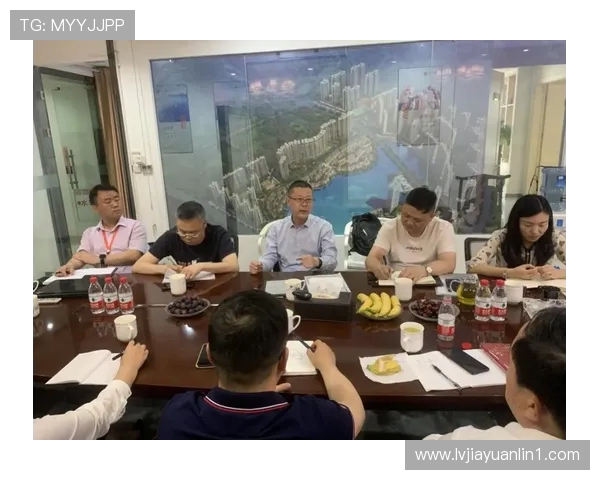 北京攀岩队快攻战术解析与实战应用研究