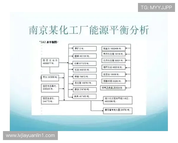 南京篮球队状态分析：近期表现与未来展望的全面探讨