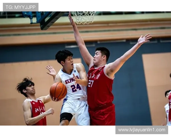 杭州篮球队的战术控制与球队发展深度解读