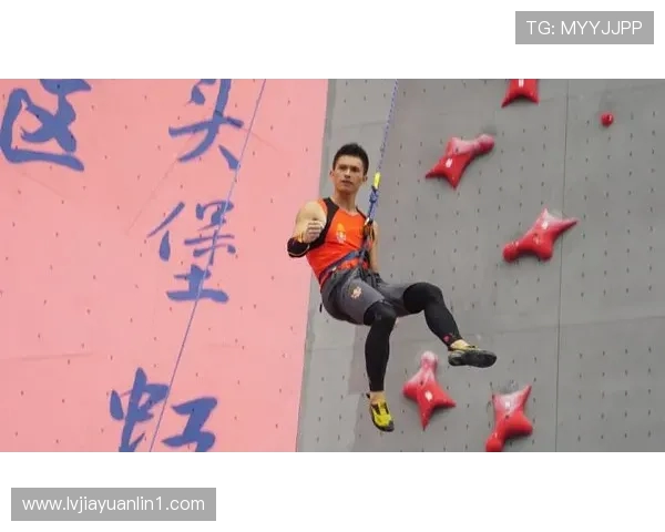 武汉攀岩队的节奏揭秘：探索攀岩深度与团队协作的完美结合