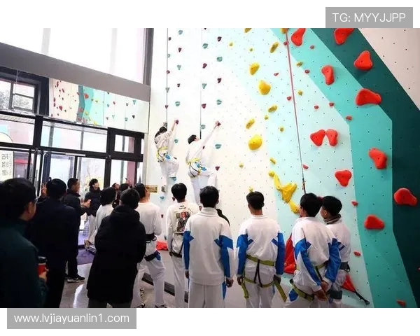 西安攀岩队成长之路:从初学者到高手的奋斗与坚持
