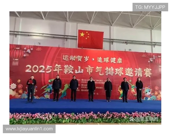 陈娜独家分享排球心得与技巧助你提升球技的秘密大公开