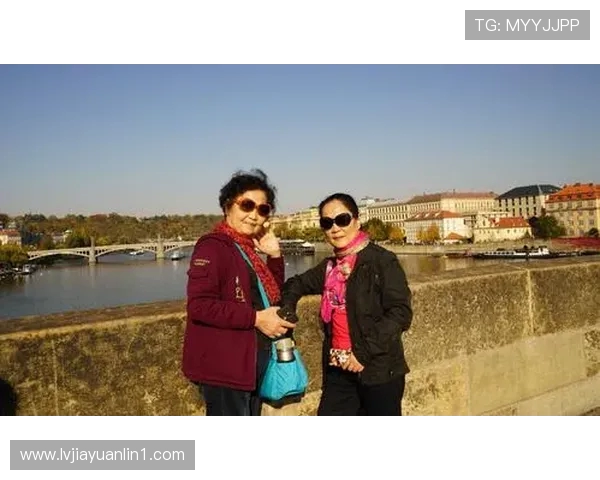 奥地利与匈牙利足球对决波胆分析及预测